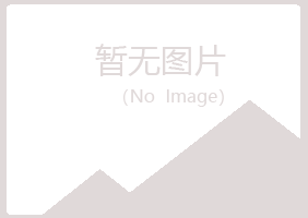 吉林紫山化学有限公司